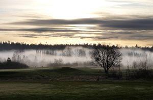 Redmond, WA. Seattle. Washington